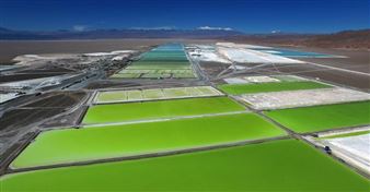 Eco-Visionaries, Royal Academy Review - Wakey, Wakey!