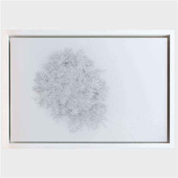 Seasons/Winter #01 by Kacper Kowalski, 2013