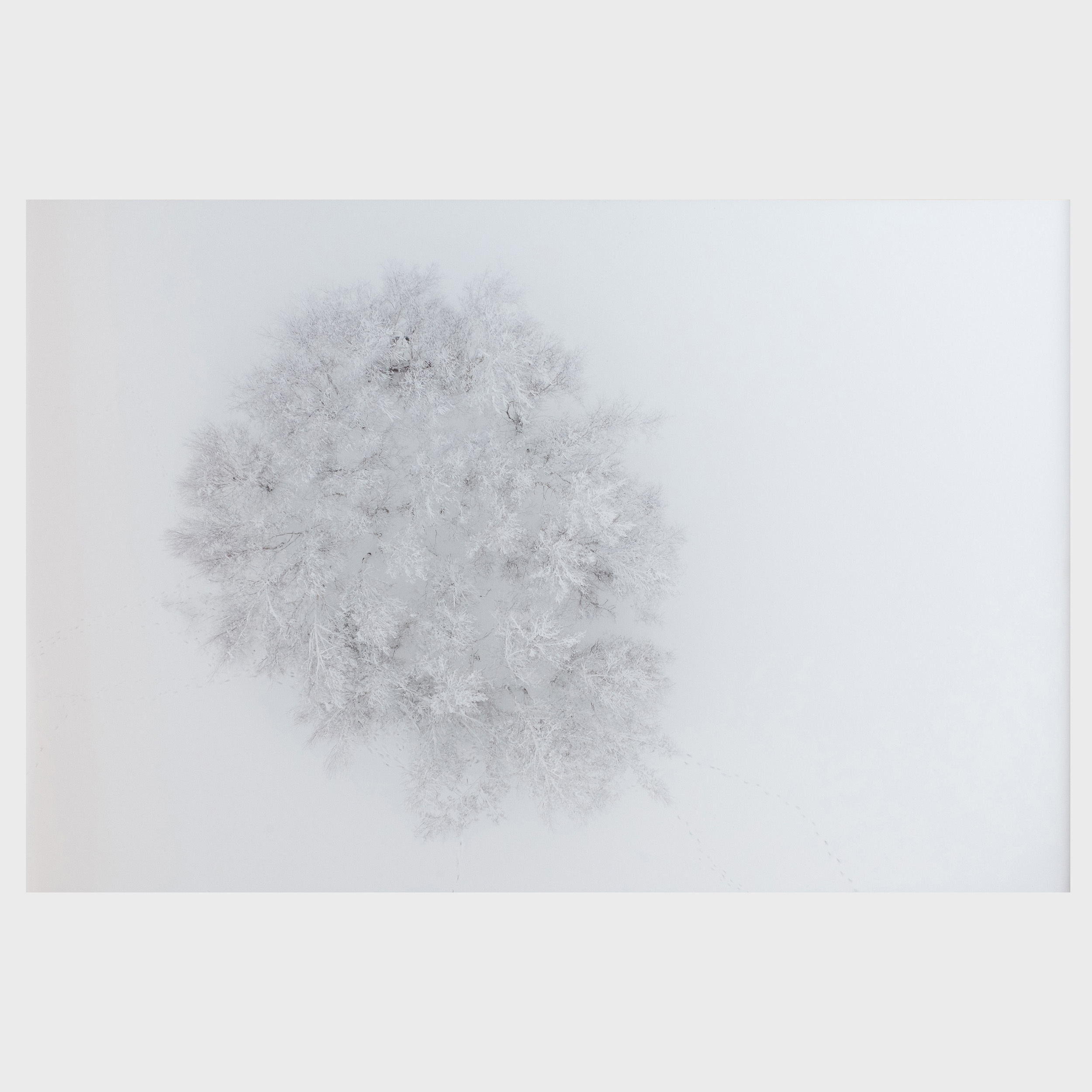 Artwork by Kacper Kowalski, Seasons/Winter #01, Made of Archival pigment print
