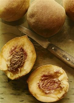 Fruit still lifes - Erna Lendvai-Dircksen