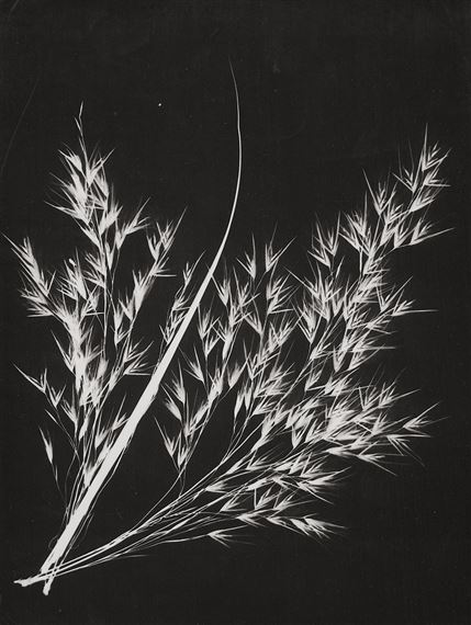 Wild oats by Lou Landauer, 1942