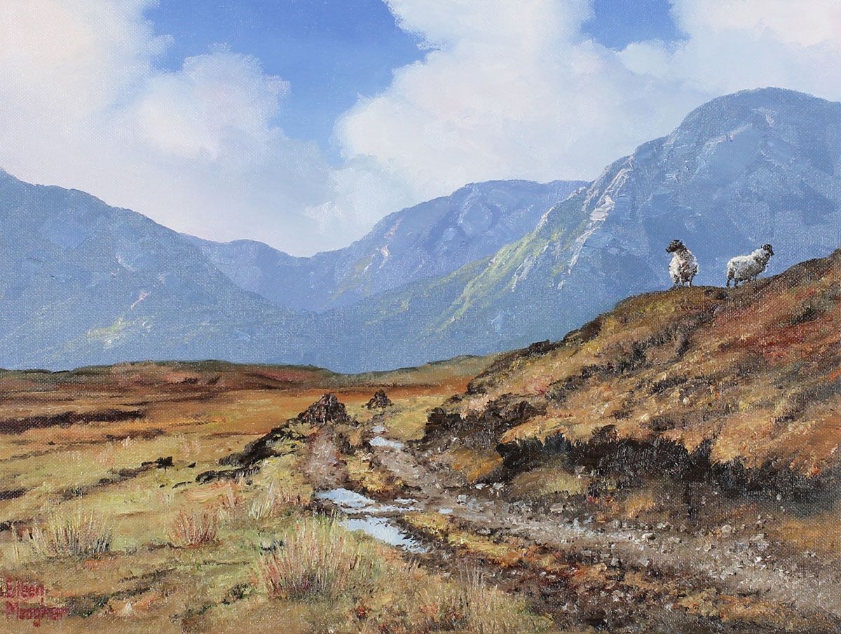 Eileen Meagher DERRIGIMLAGH BOG, CONNEMARA MutualArt