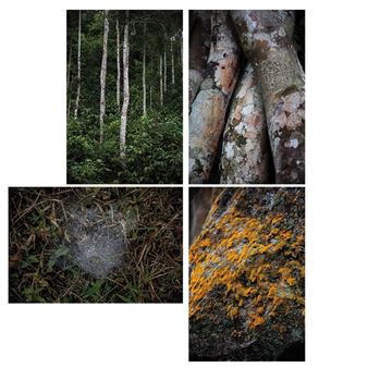 Four works: No title (4) - Camila Jurado