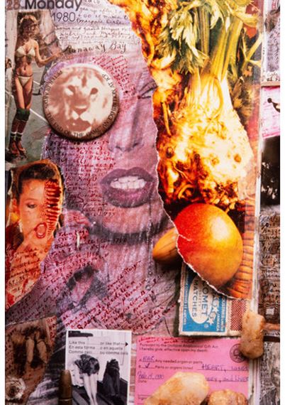 希少絶版本　Peter Beard, PB2, 2006 Beard, 希少絶版本　Peter 2006 PB2,