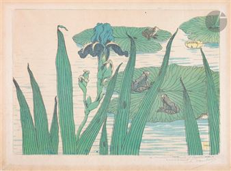 Grenouilles, iris et nénuphars Picture