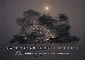 Opening This Friday: 'Tree Stories' by Kate Breakey