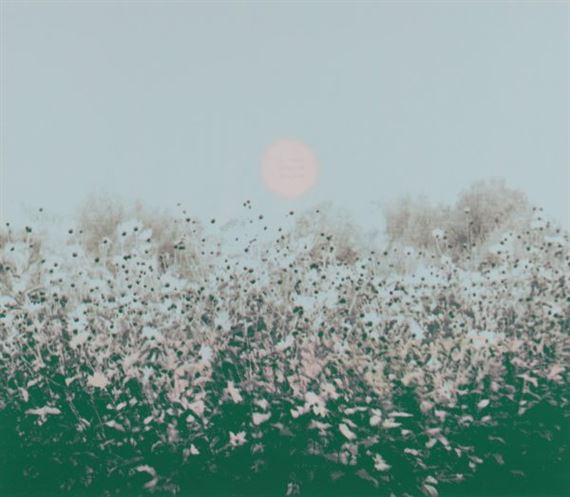 La tusen blomster blomstre by Victor Lind, 1973