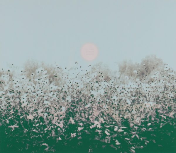 Artwork by Victor Lind, La tusen blomster blomstre, Made of Screen printing