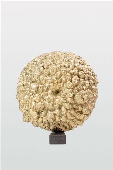 Kameleon - Bartosz Banasik