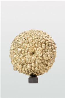 Kameleon - Bartosz Banasik