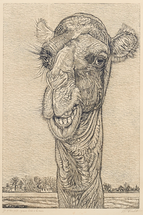 Eduard Wiiralt | Kaameli pea (1939) | MutualArt