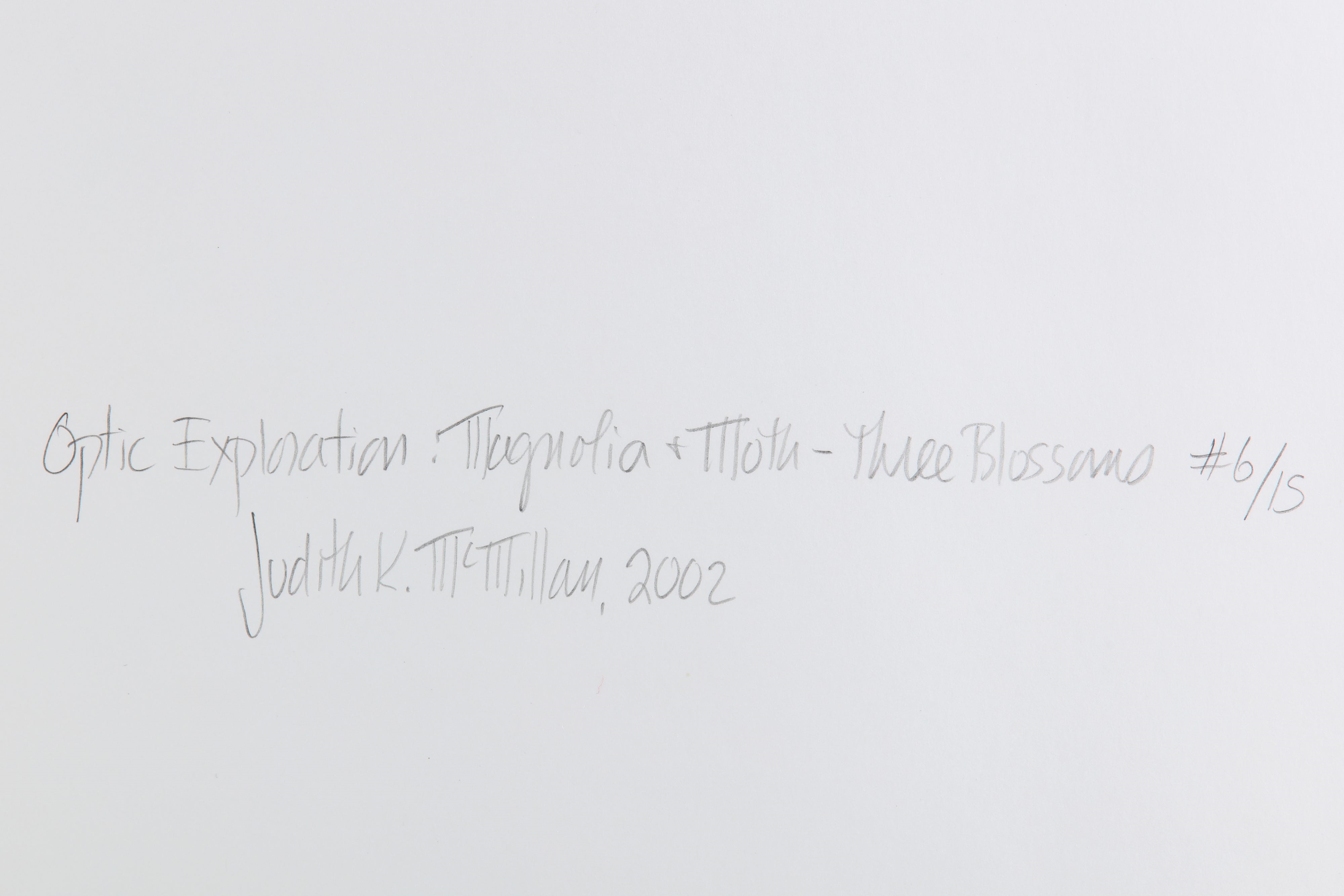 Artwork by Judith K. McMillan, MAGNOLIA AND MOTH, Made of silver gelatin print