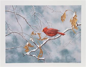 Winter Oak - Chris Forrest