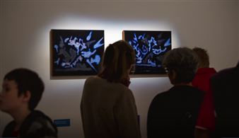 Lev Vykopal & Paul Uhlmann: In Gallipoli: Earth & Sky - Fremantle Arts Centre (FAC)