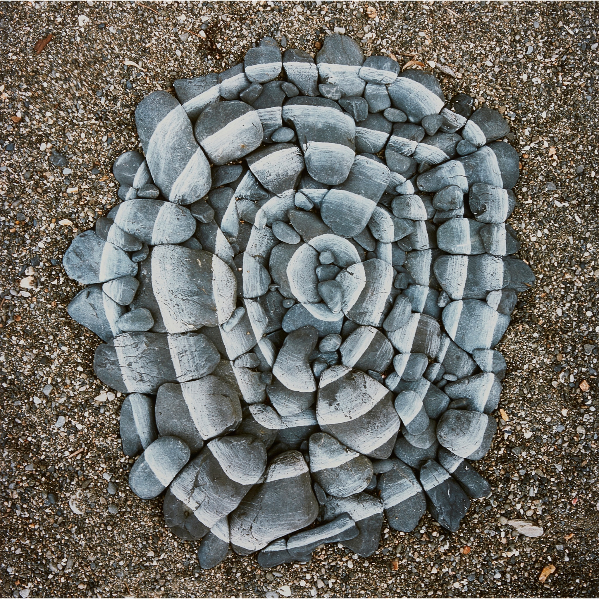 STARTED CLIMBING by Andy Goldsworthy, 1987