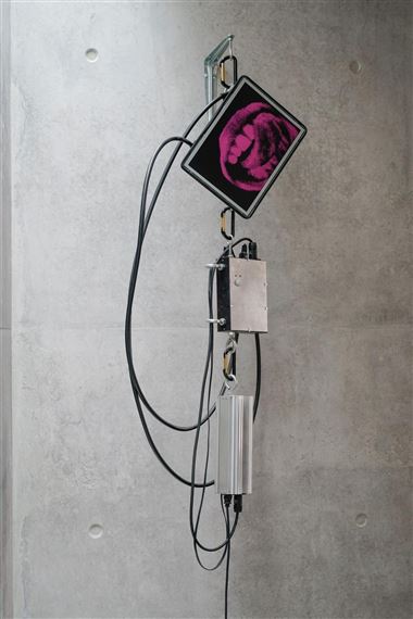 Oral Fixation III by Alan Rath, 2006