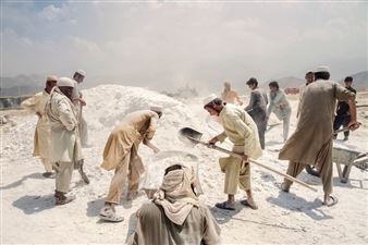 The Best New Yorker Photography of 2019