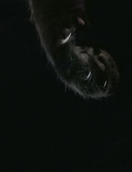 Irena Haiduk: Remaster - Swiss Institute