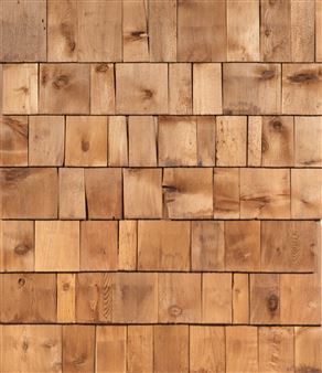 Untitled - Aaron Aujla