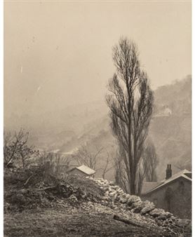 A Group of Three Nature Photographs - John R. Hogan