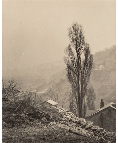 A Group of Three Nature Photographs by John R. Hogan