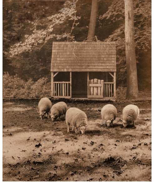 Artwork by John R. Hogan, A Group of Three Photographs, Made of Gelatin silver