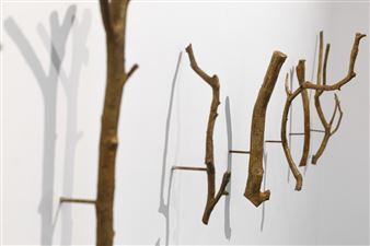 Searching for Stars Amongst the Crescents - Experimenter, Hindusthan Road