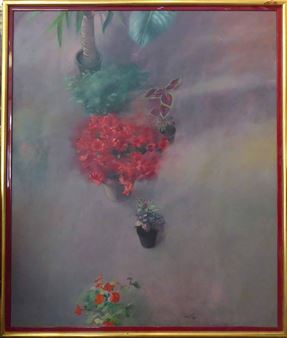 Red flowers and potted plants Picture