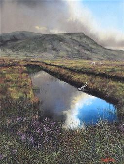 BOG REFLECTIONS - Sam Mateer