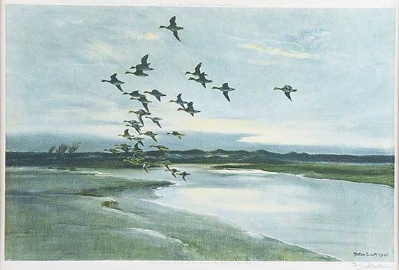 Peter Markham Scott | WIDGEON OVER THE DUNES | MutualArt