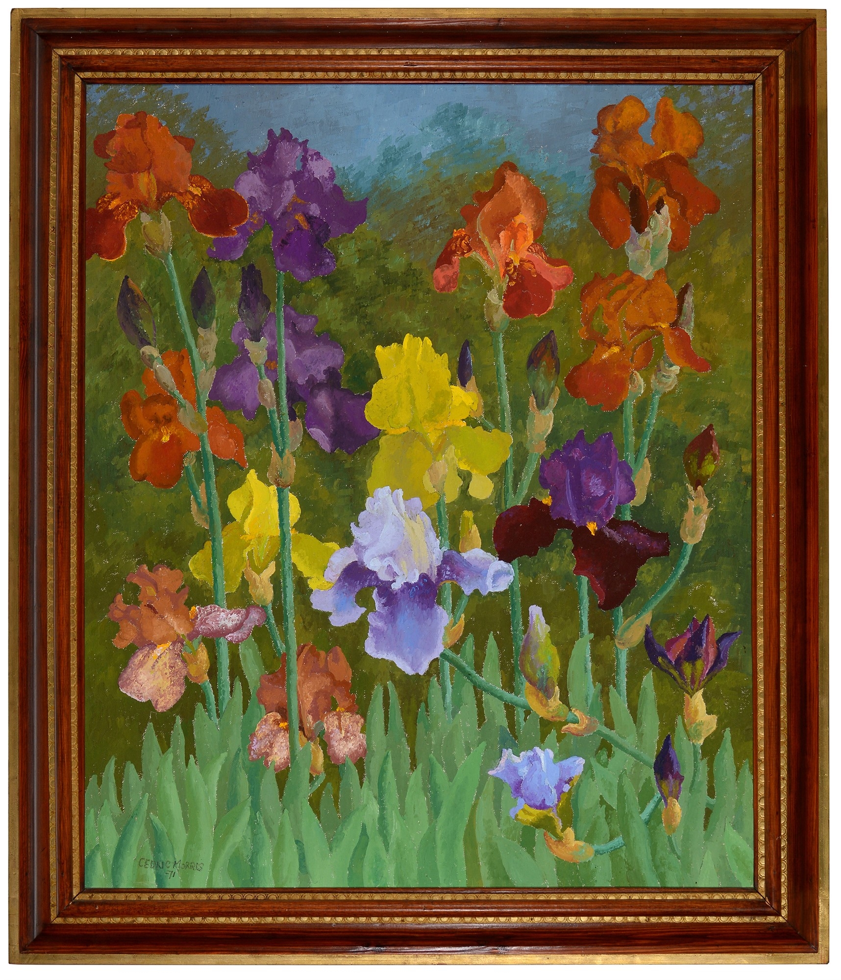 Irises by Sir Cedric Morris, 1971