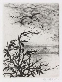 Ptáci - Olga Vychodilova