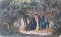 Tropische Höhle mit hängenden Gärten (Schlangengrotte) - Friedrich Lütkemeyer