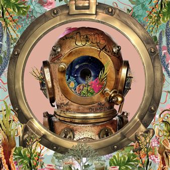 Saltfineart: Street / Art - saltfineart + RAWsalt