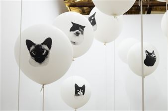 John Knight the Intermission / Athens