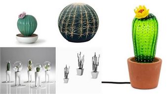 Don’t Mind the Spines