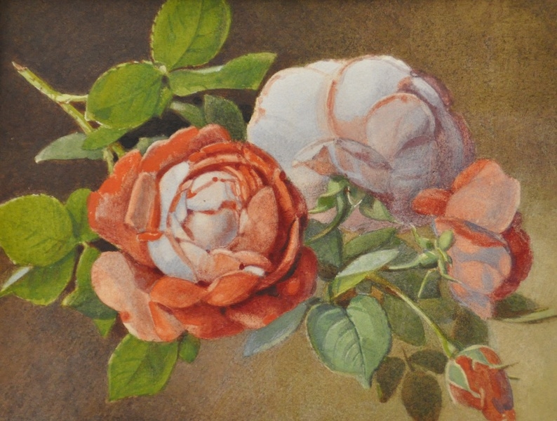 Artwork by Clementine Stockar-escher, Rosenzweig, Made of watercolor