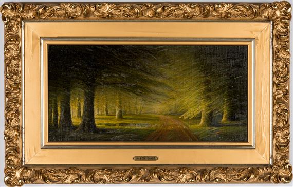 Sunlight breaking through a grove of trees onto a forest path by Harvey Joiner