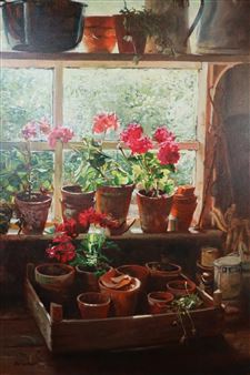 Geraniums in Afternoon Light - Neil Faulkner