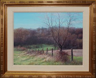 FIELD NEAR HUDSON LAKE - Richard Sedlack