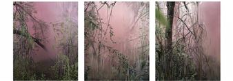 Tatyana Murray & Sandra Kantanen: Lustre - Bryce Wolkowitz Gallery