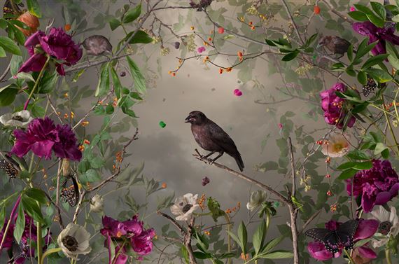 Reflecting Pool - Wasserman Projects