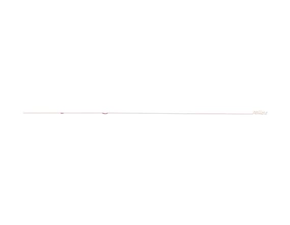 Maurizio Nannucci | Red Line (1969) | MutualArt