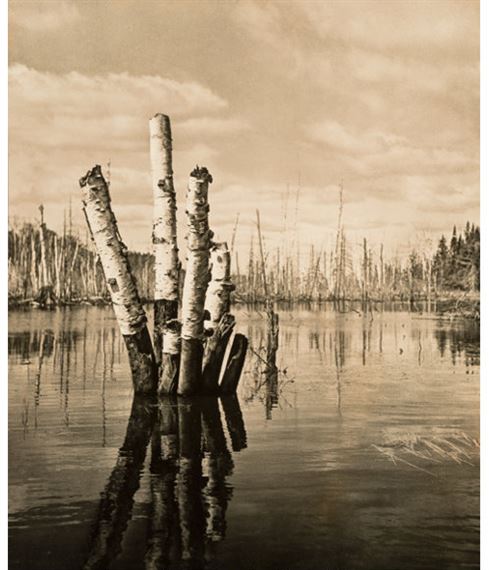 A Group of Three Nature Photographs by John R. Hogan