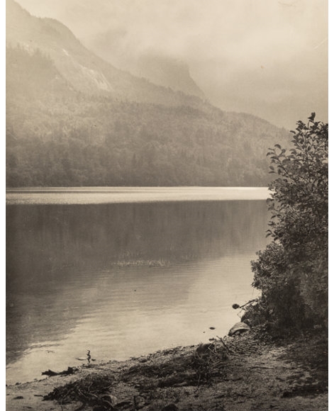 Artwork by John R. Hogan, A Group of Three Nature Photographs, Made of Gelatin silver