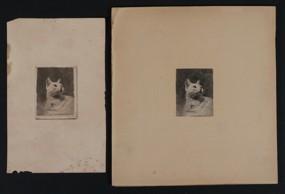 Artwork by John Worthington Mansfield, "Study of a Cat's Head", Made of drypoint etching on paper