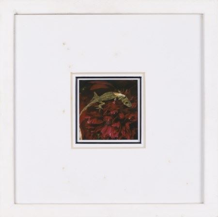 Flower by Nobuyoshi Araki, 2005