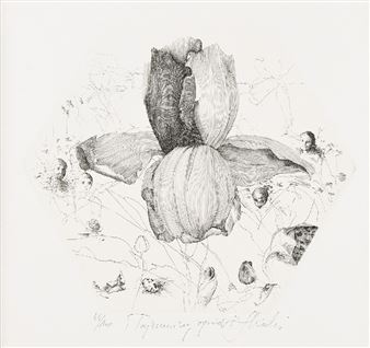 Tajemniczy ogród - Krzysztof Skórczewski