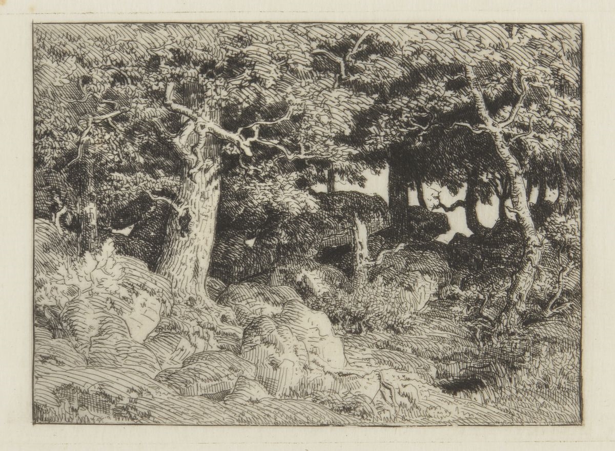 Théodore Rousseau | Chênes de roche (1861) | MutualArt