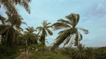 High-Cycle Fatigue - Künstlerhaus Bremen